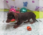 Image preview for Ad Listing. Nickname: Dennis