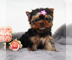 Image preview for Ad Listing. Nickname: Truffle