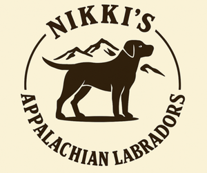Labrador Retriever Litter for sale in ELIZABETH, WV, USA