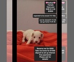 Image preview for Ad Listing. Nickname: Delilah