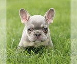 Image preview for Ad Listing. Nickname: Kami