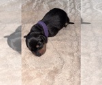 Image preview for Ad Listing. Nickname: Purple