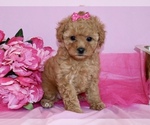 Image preview for Ad Listing. Nickname: Marlee
