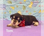 Image preview for Ad Listing. Nickname: Tom