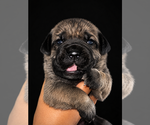 Image preview for Ad Listing. Nickname: Big Lou