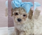 Image preview for Ad Listing. Nickname: logan