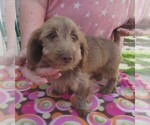 Image preview for Ad Listing. Nickname: Harolynn