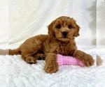 Image preview for Ad Listing. Nickname: Gia