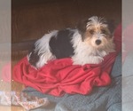 Image preview for Ad Listing. Nickname: Jaz