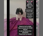 Image preview for Ad Listing. Nickname: Sailor