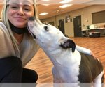 Small #4 American Pit Bull Terrier Mix