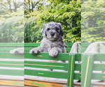 Image preview for Ad Listing. Nickname: Finn