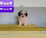 Image preview for Ad Listing. Nickname: Sandy