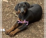 Image preview for Ad Listing. Nickname: Judy