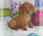 Image preview for Ad Listing. Nickname: Angie