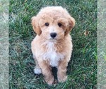 Image preview for Ad Listing. Nickname: Bryson