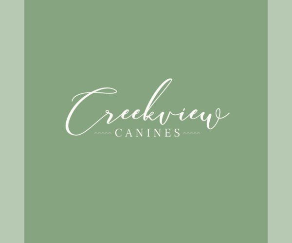 Medium Photo #1 Schnauzer (Miniature) Puppy For Sale in NIANGUA, MO, USA