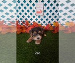Image preview for Ad Listing. Nickname: Zac