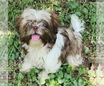 Image preview for Ad Listing. Nickname: Summer
