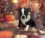 Image preview for Ad Listing. Nickname: Green