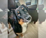 Small #3 Breeder Profile image
