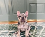 Image preview for Ad Listing. Nickname: Pinky
