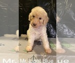 Image preview for Ad Listing. Nickname: Mr Light Blue