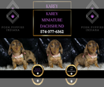 Image preview for Ad Listing. Nickname: Karey