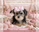 Image preview for Ad Listing. Nickname: Jenna