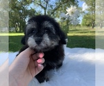 Small #6 Poovanese