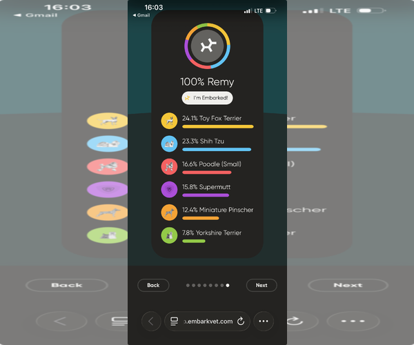 Medium Photo #3 Shih Tzu-Unknown Mix Puppy For Sale in Arcadia, FL, USA