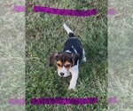 Image preview for Ad Listing. Nickname: Female 1