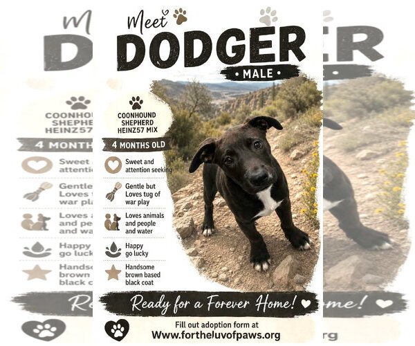 Medium Photo #1 Coonhound-Unknown Mix Puppy For Sale in Golden Valley, AZ, USA