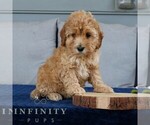 Image preview for Ad Listing. Nickname: Esther