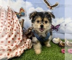 Image preview for Ad Listing. Nickname: Tickles