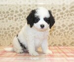 Image preview for Ad Listing. Nickname: Jill