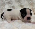 Image preview for Ad Listing. Nickname: Spot