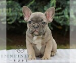 Image preview for Ad Listing. Nickname: Kira