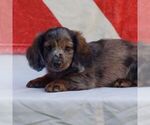 Image preview for Ad Listing. Nickname: Rhett