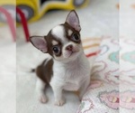Image preview for Ad Listing. Nickname: Harry
