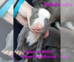 Image preview for Ad Listing. Nickname: Pink Female