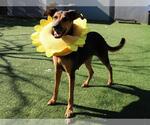 Small #3 Breeder Profile image