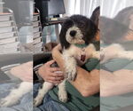 Small #3 Breeder Profile image