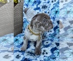 Image preview for Ad Listing. Nickname: Boy 4