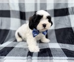Image preview for Ad Listing. Nickname: Simon