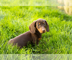 Image preview for Ad Listing. Nickname: Ivan