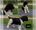 Image preview for Ad Listing. Nickname: Jane