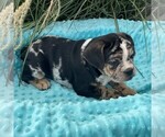 Image preview for Ad Listing. Nickname: Sally
