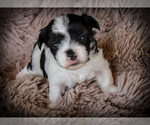 Image preview for Ad Listing. Nickname: Blue Male