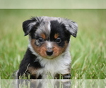 Image preview for Ad Listing. Nickname: Greenbean